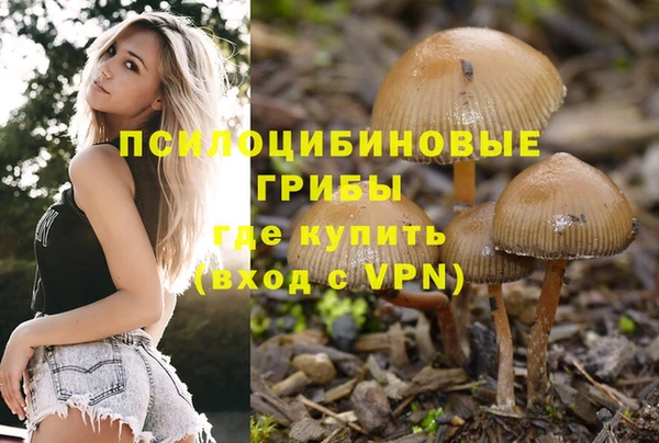 mix Коряжма