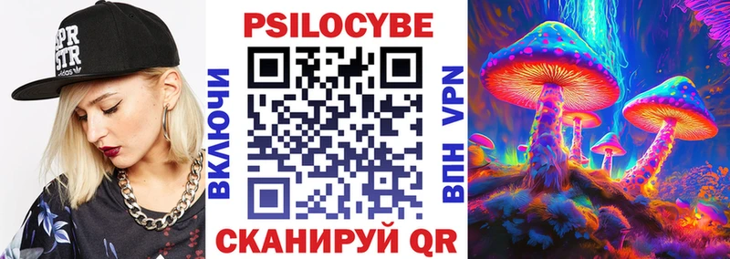 Купить  Пенза  Псилоцибиновые грибы прущие грибы 